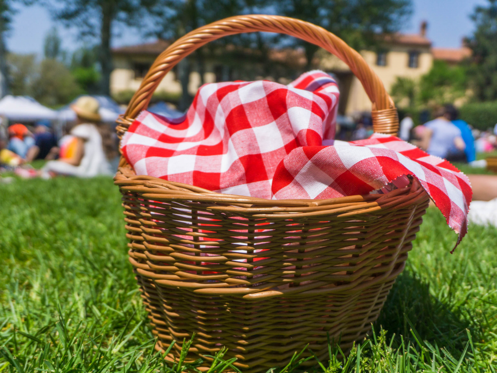 Close up of a picnic basket on grass with a red and white checkered blanket inside