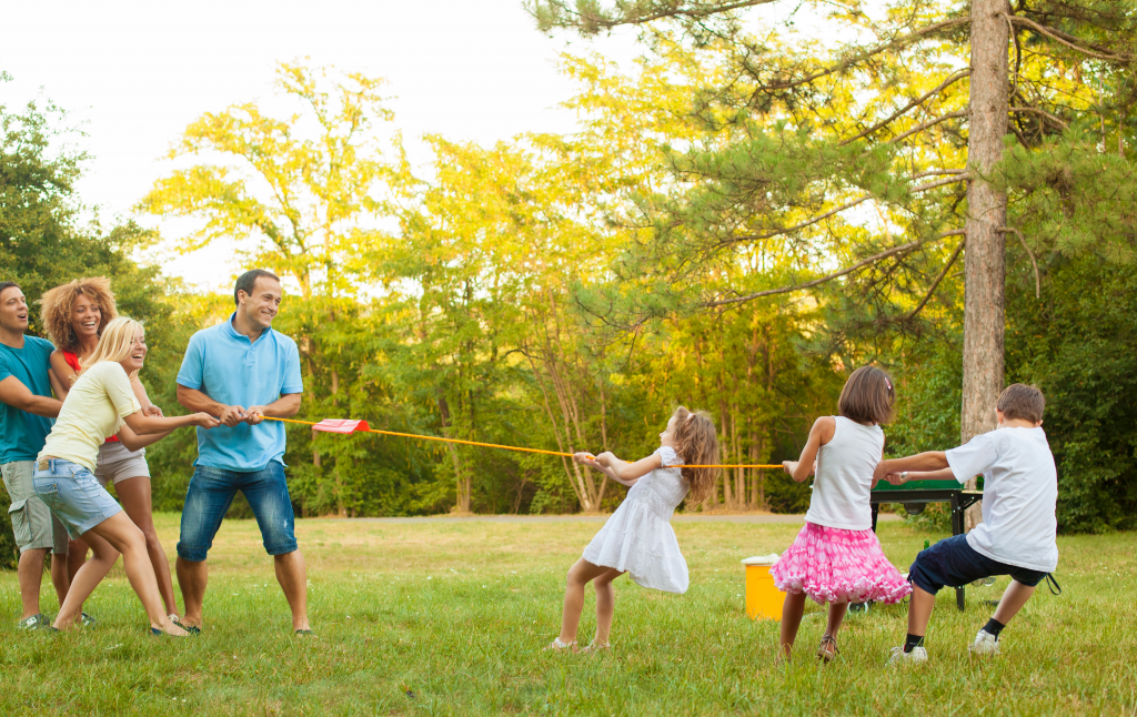 5 Ways To Plan The Perfect Picnic For The Family – Country Harvest